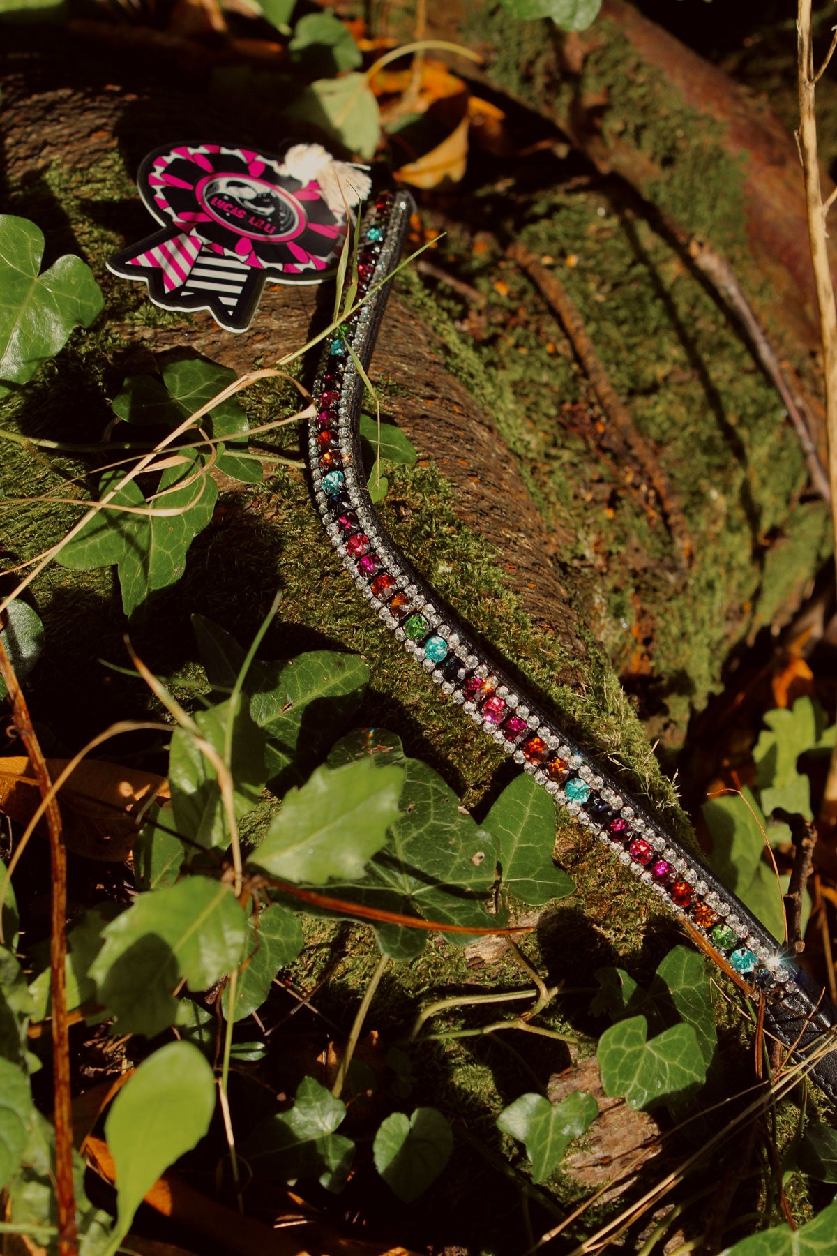 Rainbow Drops Browband in Black or Brown Leather