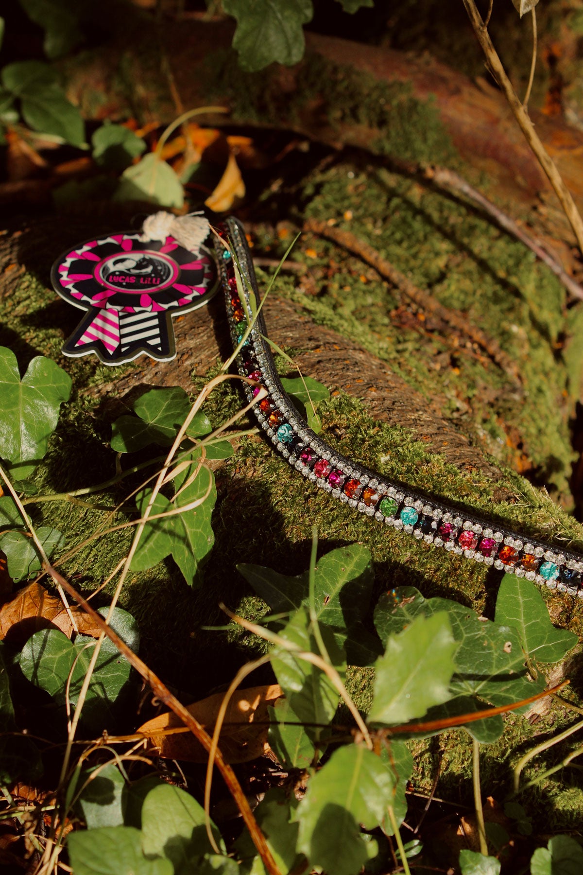 Rainbow Drops Browband in Black or Brown Leather