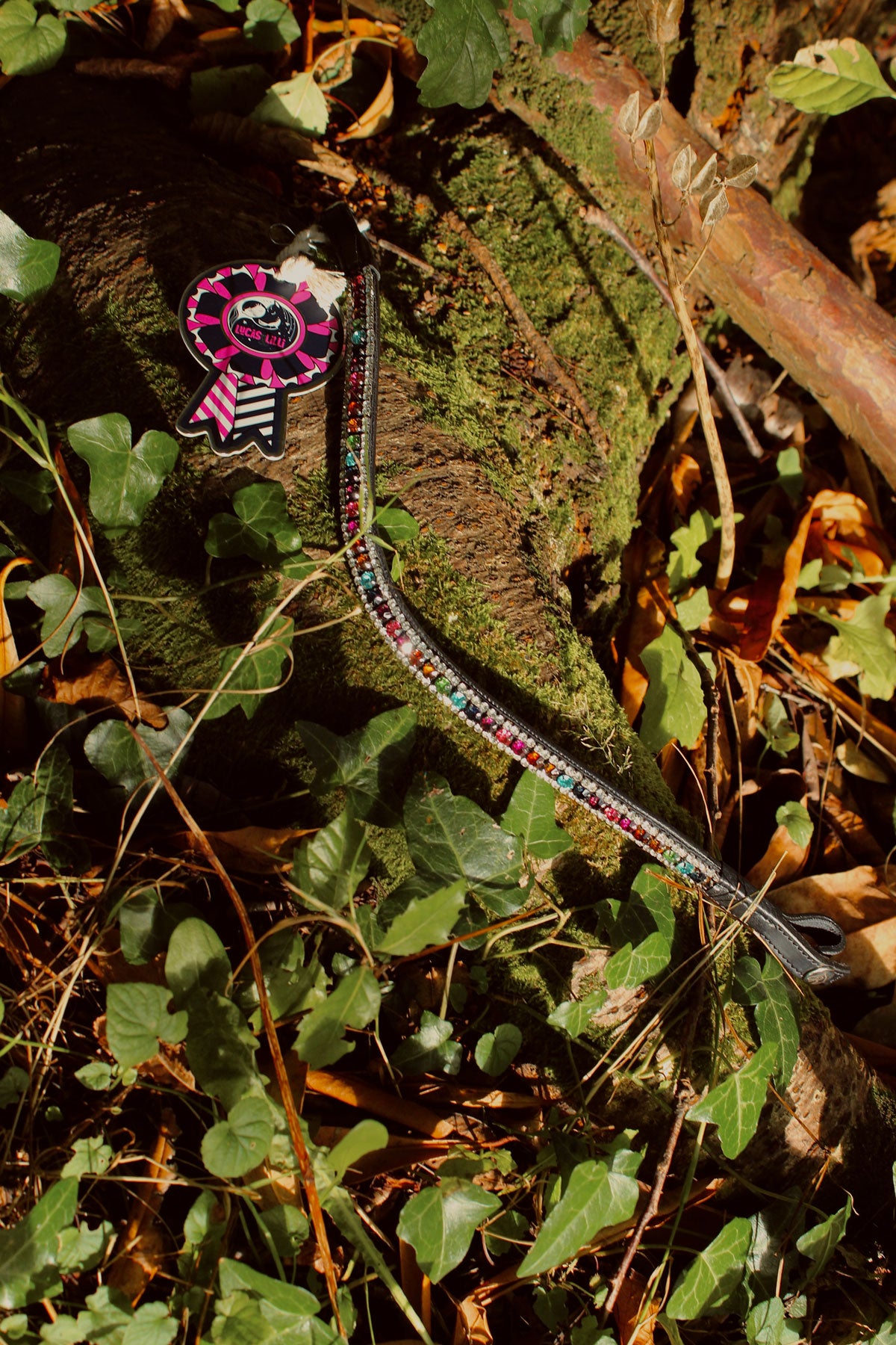 Rainbow Drops Browband in Black or Brown Leather