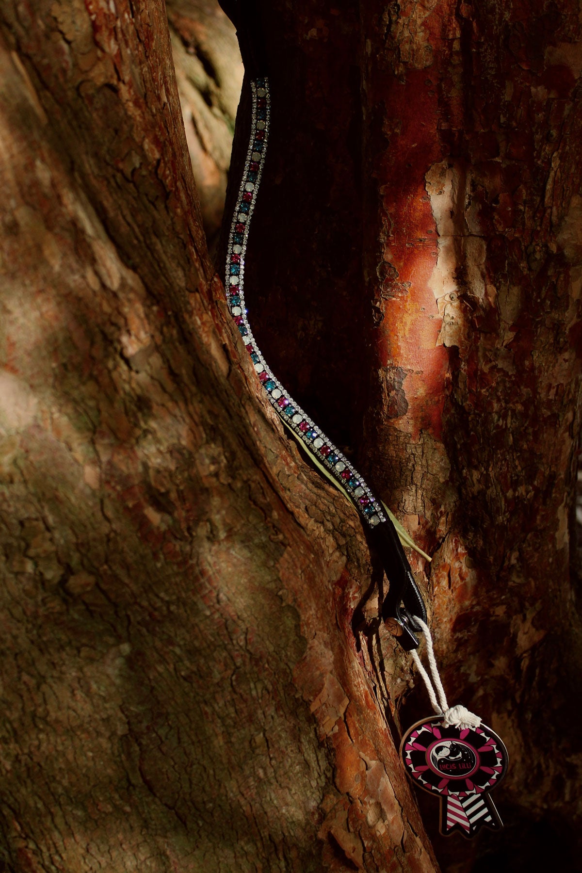 Rainbow Drops Browband in Black or Brown Leather