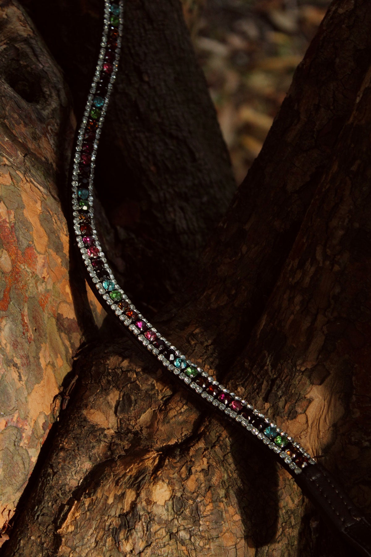 Rainbow Drops Browband in Black or Brown Leather